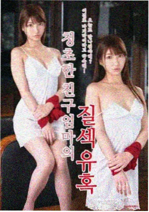 我的春色时光